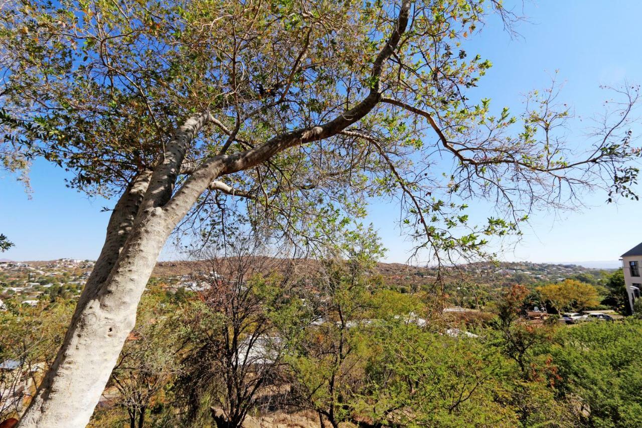 Herzinger Boutique Guesthouse Klein Windhoek Dış mekan fotoğraf